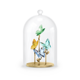 Swarovski Jungle Beats Butterfly Bell Jar 5619219