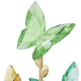Swarovski Jungle Beats Butterfly Bell Jar 5619219
