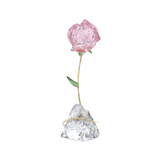 Swarovski Florere Rose 5666973