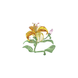 Swarovski Florere Lily, Large 5671725
