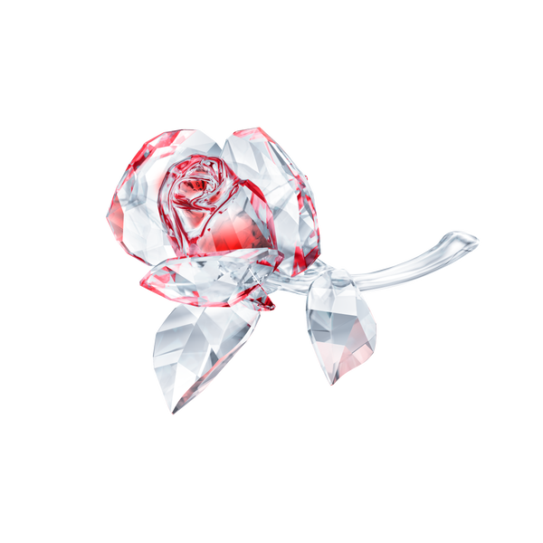 SWAROVSKI BLOSSOMING ROSE, RED 5428561