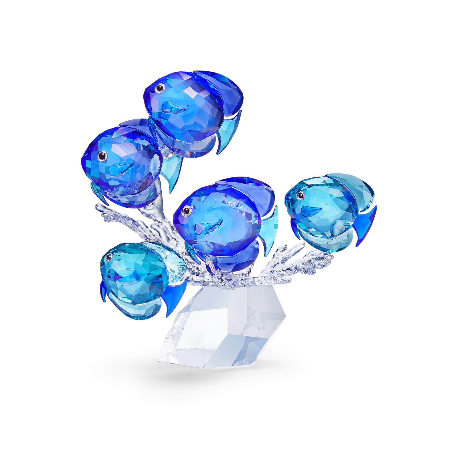 Swarovski School of Fish 5493705 – Finch Centre Jewellers