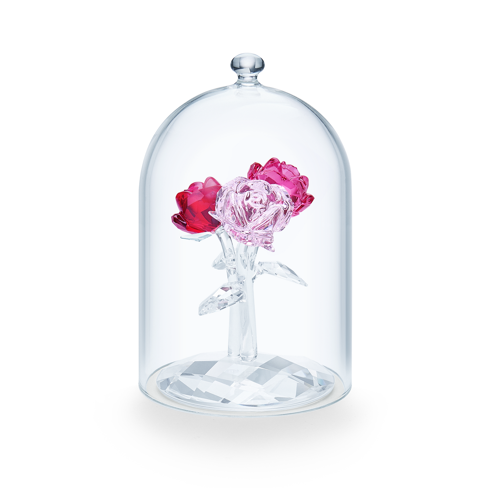 5493707_png_1600x.png?v=1764948218