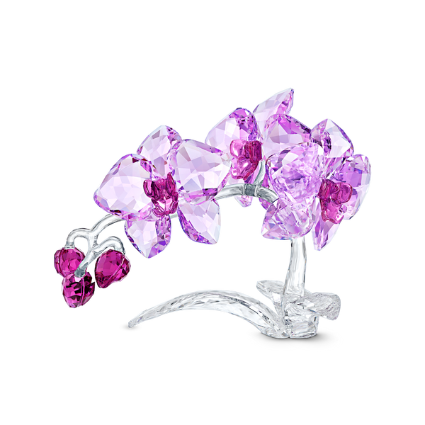 SWAROVSKI CRYSTAL FLOWERS ORCHID 5520373