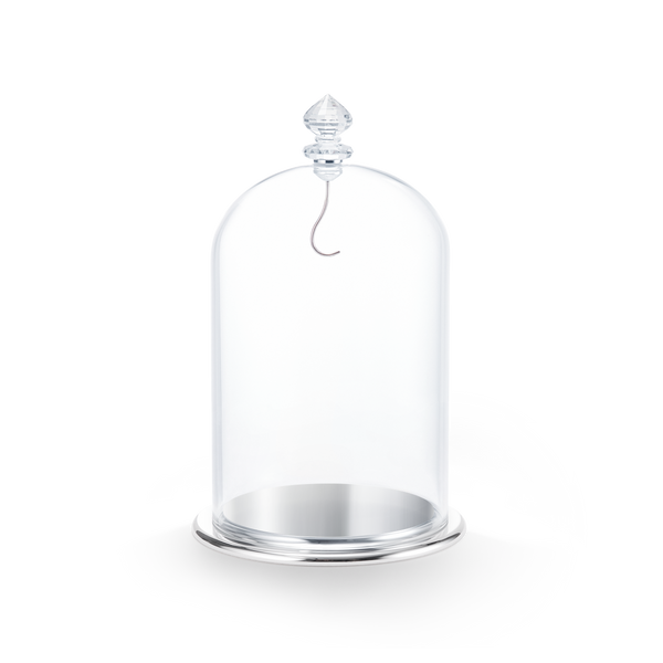 SWAROVSKI BELL JAR DISPLAY, LARGE 5527606