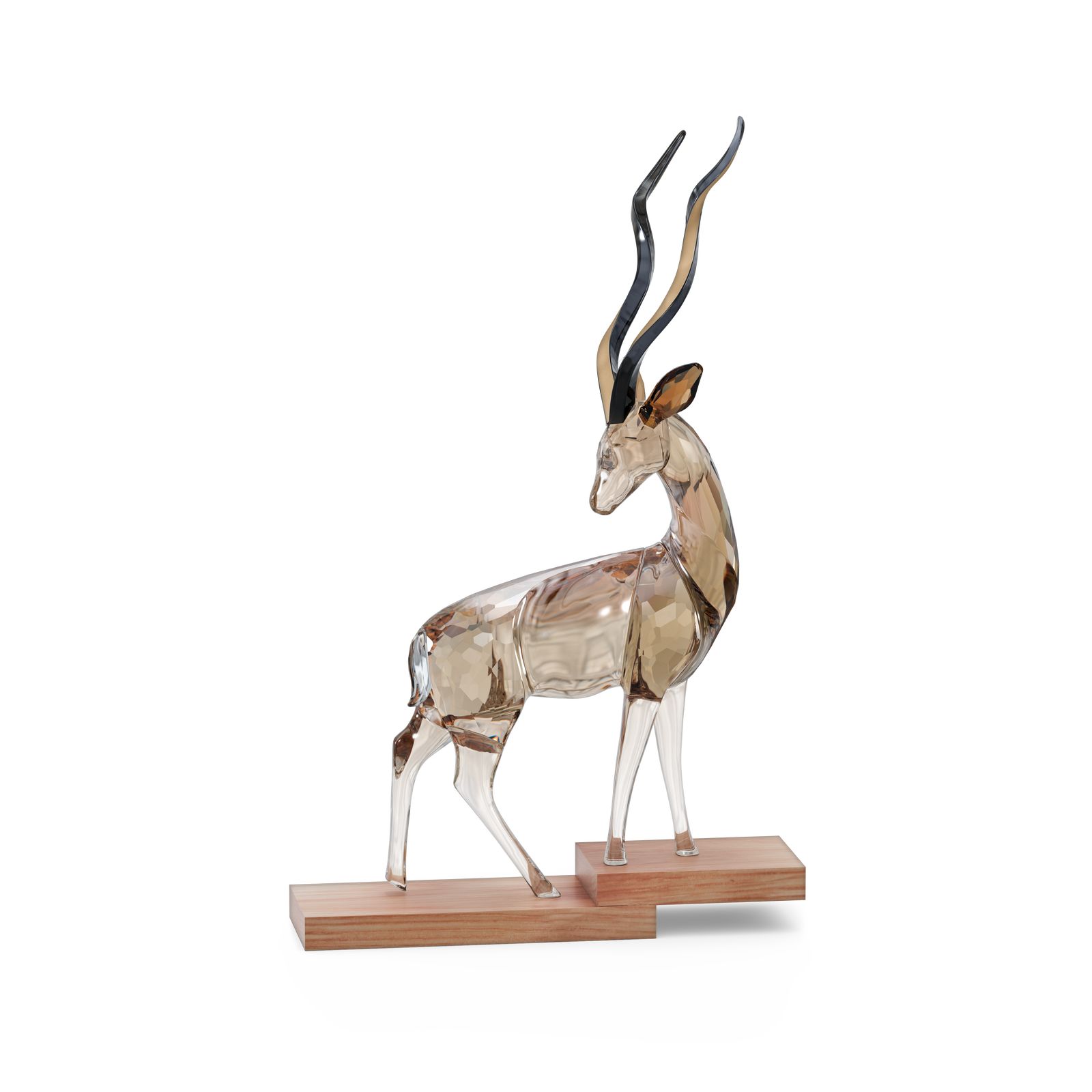 5557860_png_97205b0c-b688-419a