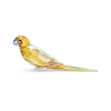Swarovski Jungle Beats Yellow Parakeet Lechee 5619217