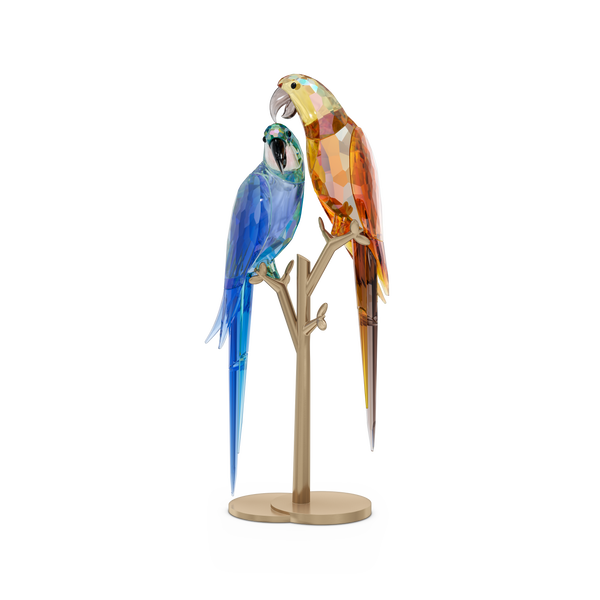 スワロフスキー　オウム　PARROT Swarovski Jungle Beats Parrot Couple Bell & Brio 5619218 – Finch