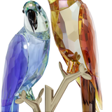 Swarovski Jungle Beats Parrot Couple Bell & Brio 5619218 – Finch