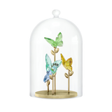 Swarovski Jungle Beats Butterfly Bell Jar 5619219