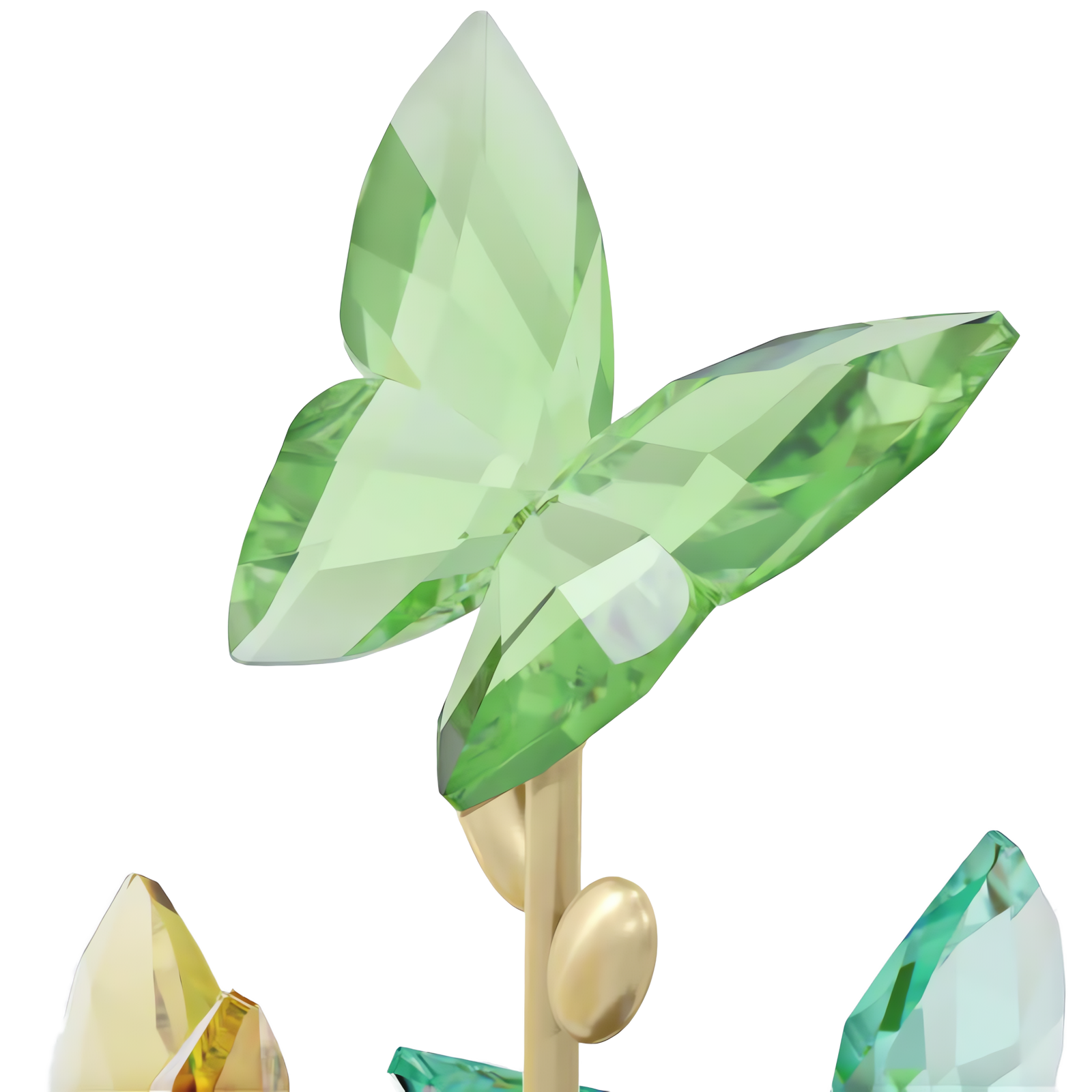 5619219_png_var3_1600x.png?v=