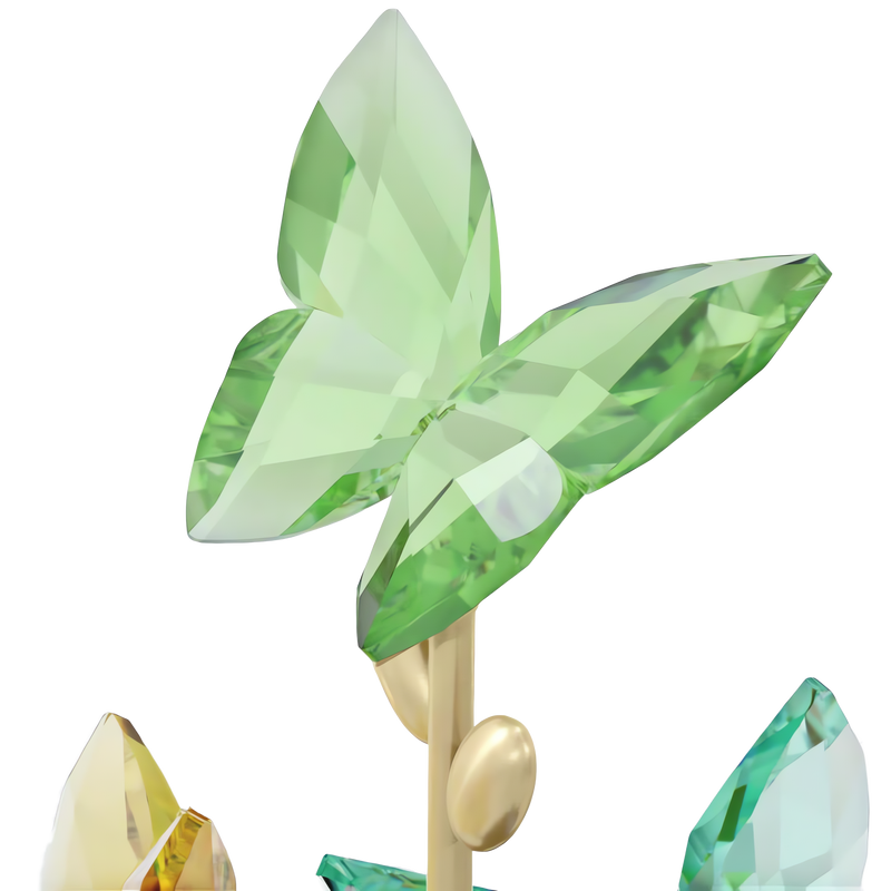Swarovski Jungle Beats Butterfly Bell Jar 5619219 – Finch Centre