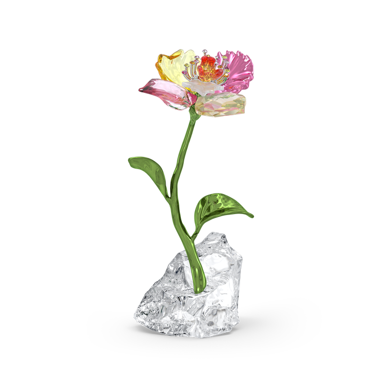 Swarovski Idyllia Flower, Small 5639883 – Finch Centre Jewellers