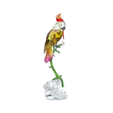 Swarovski Idyllia Cockatoo 5646611
