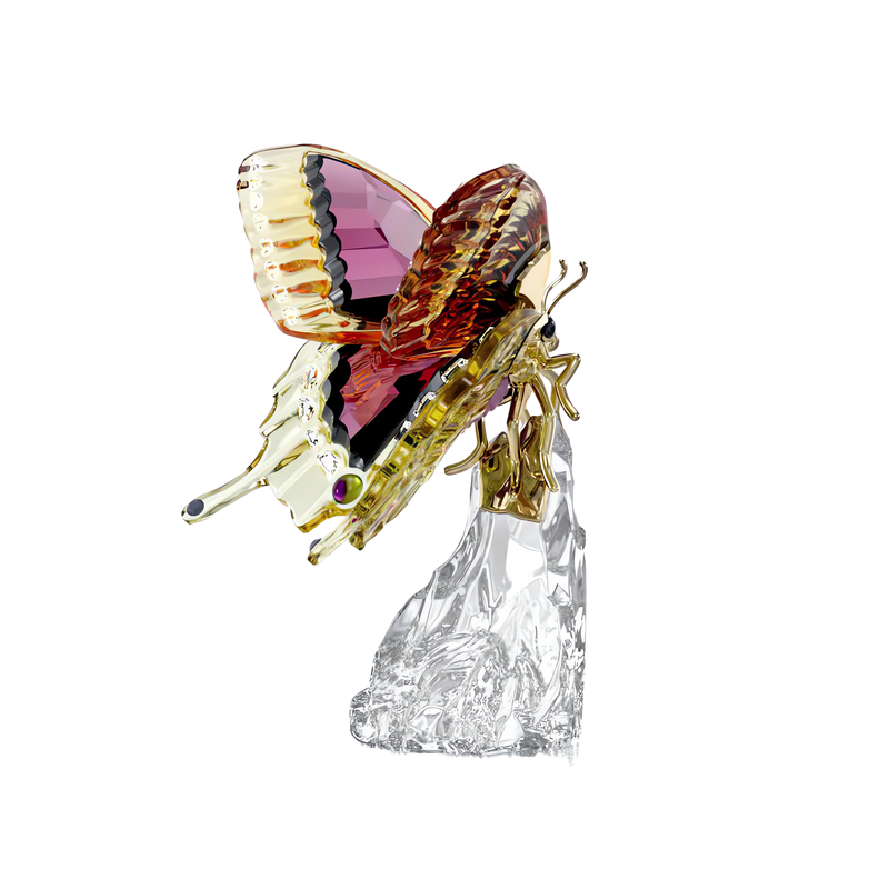 Swarovski Idyllia Butterfly 5650796 – Finch Centre Jewellers