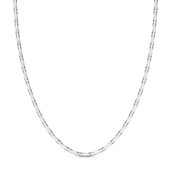 Silver Chain Necklace